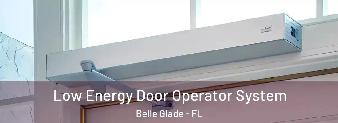  Low Energy Door Operator System Belle Glade - FL
