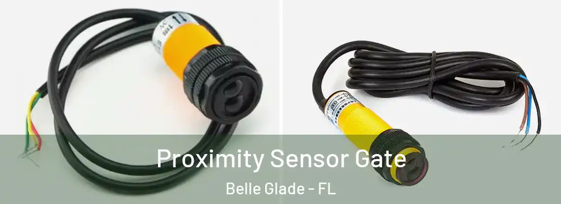 Proximity Sensor Gate Belle Glade - FL